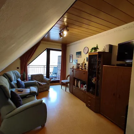 Panorama Oase Mit Blick Auf Mosel Und Reichsburg 科赫姆