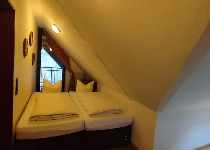 Panorama Oase Mit Blick Auf Mosel Und Reichsburg